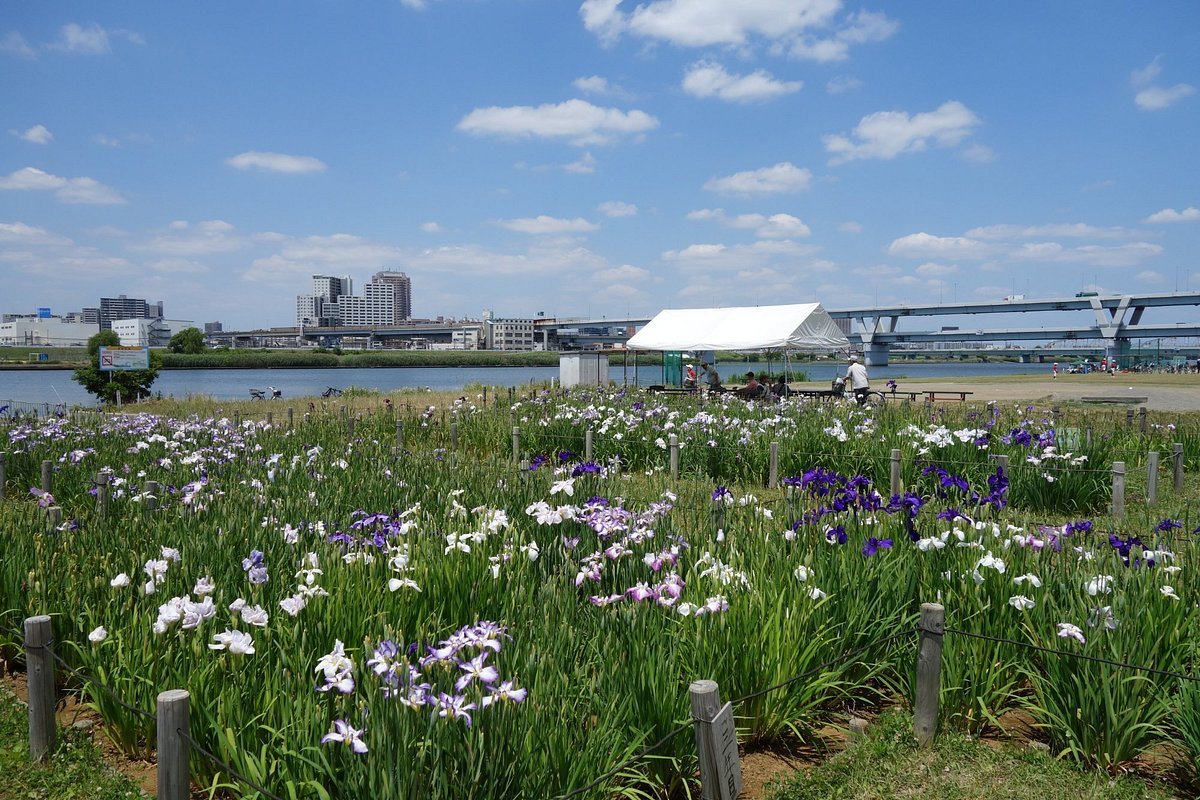 🏞️ 호리키리 수변 공원 (호리키리 워터사이드 파크) 이미지 1